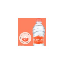Agua Embotellada 24 Pzas de 600 ml Bonafont 1/24 Clave 19181