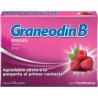 Graneodin B 10 g Sabor Frambuesa 1/24 Clave: 10106