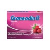 Graneodin B 10 g Sabor Frambuesa 1/24 Clave: 10106