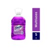 Multiusos Fabuloso Lavanda 5 l  1/1 Clave 05382