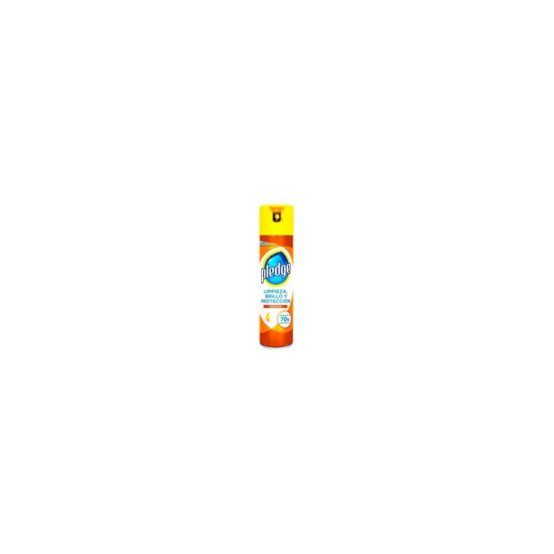 Pledge Blem Maderas 310 g 1/1 Clave 15155