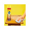 Pledge Blem Maderas 310 g 1/1 Clave 15155